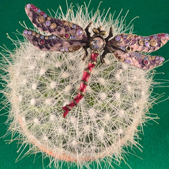 Signed Jay Stongwater pin - Picture 2 of 12